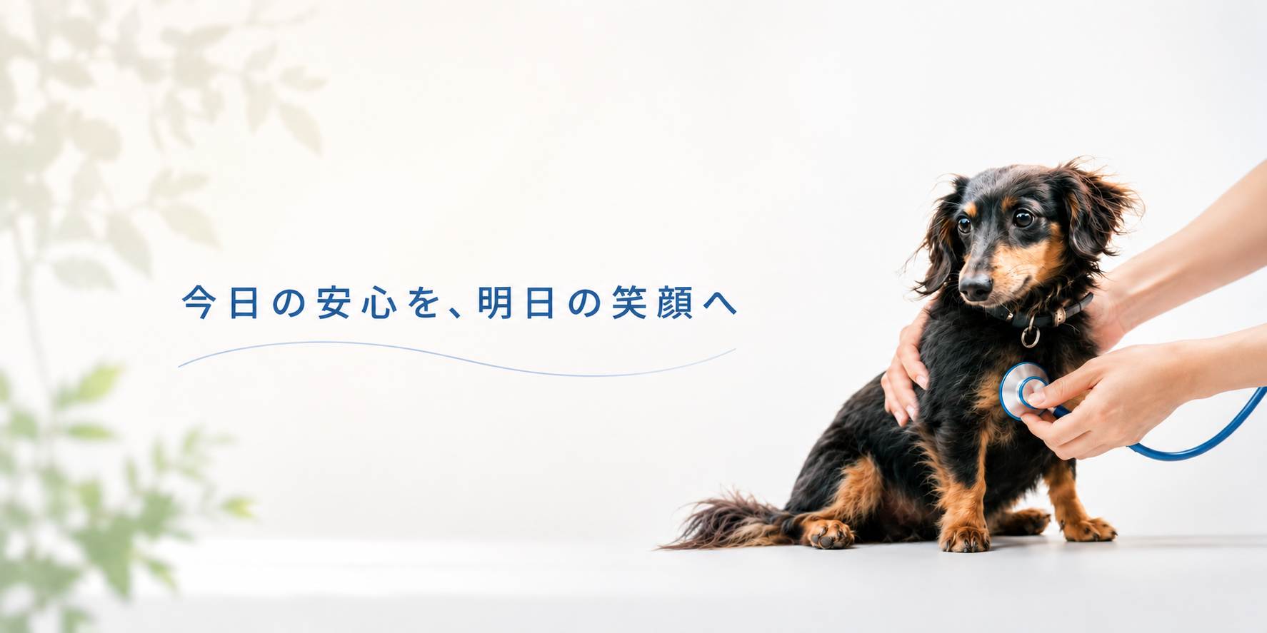 診療を受ける犬と今日の安心を、明日の笑顔へというメッセージ